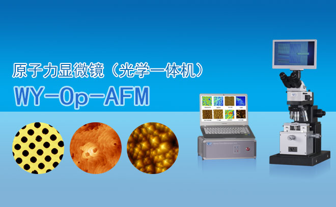 原子力顯微鏡（光學一體機） WY-O···