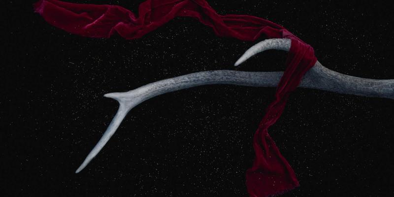 0451地区自考新机遇:哈尔滨物流管理专业,如何借对俄贸易东风实现学历与职业双提升?