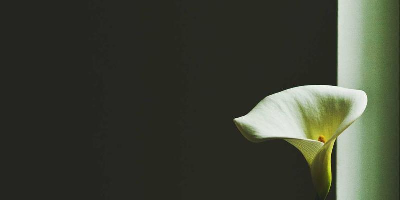 0451自考全攻略:哈尔滨自考本科报名条件、流程与学历提升指南