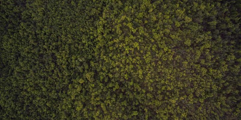 0451自考法律专业就业前景分析：哈尔滨成人教育如何打开法律职业大门？