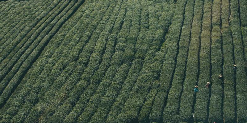 哈尔滨自考学前教育专业全攻略:0451地区实现幼师资格证与学历双赢的黄金路径
