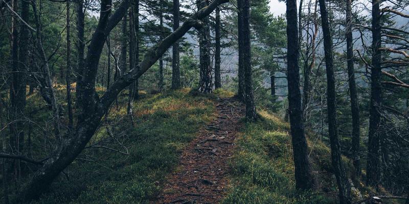 哈尔滨自考市场营销实战指南：如何将0451理论转化为本地商业增长引擎