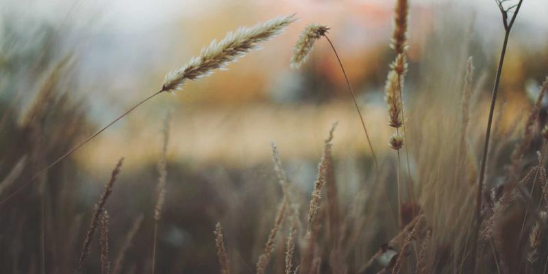 哈尔滨自考考场全攻略：线下考点分布与考前必读指南，助力学历提升