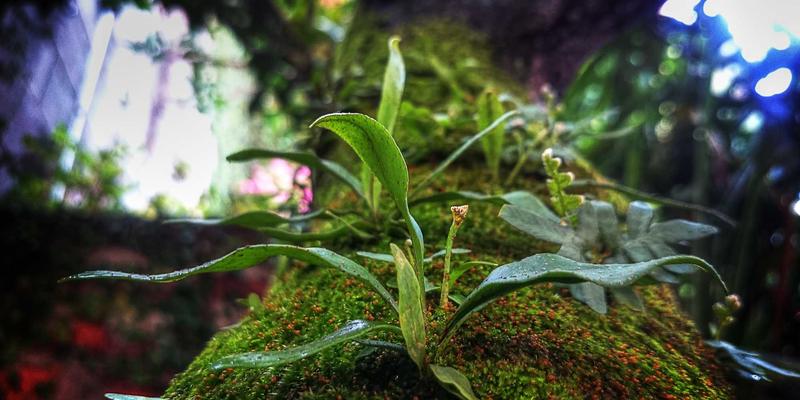 自考论文答辩终极指南：从0451自考到本科毕业，一次通关的实战技巧